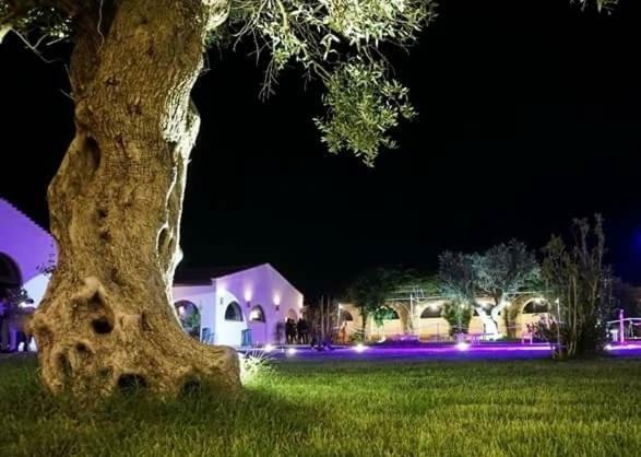 Masseria Colle Carro Ba07200451000019667 Altamura Dış mekan fotoğraf