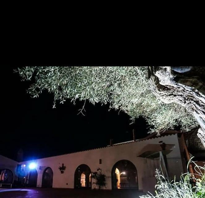 Masseria Colle Carro Ba07200451000019667 Altamura Dış mekan fotoğraf