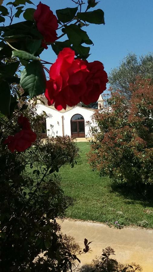 Masseria Colle Carro Ba07200451000019667 Altamura Dış mekan fotoğraf